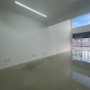 baixo-2-1